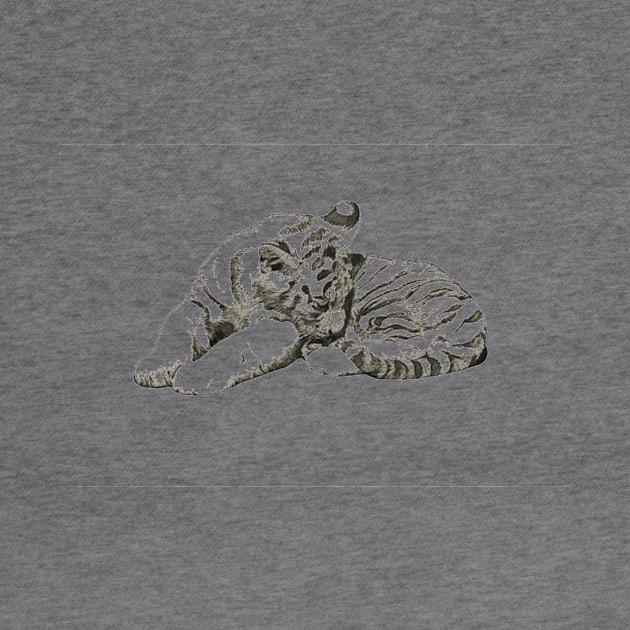 Tiger Animation and Illustration by Tee-ps-shirt